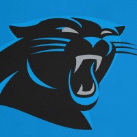 carolina panthers jobs